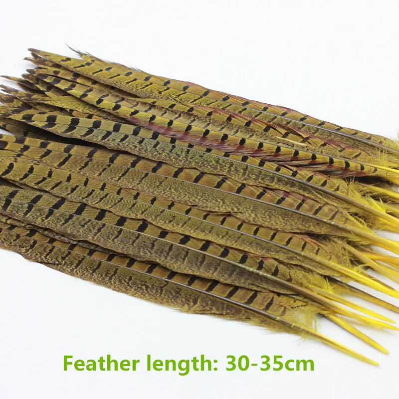 

10pcs Beautiful Chicken Feather Pheasant Feather Christmas DIY Wedding dance costumes hat earrings Decorative materials Feather