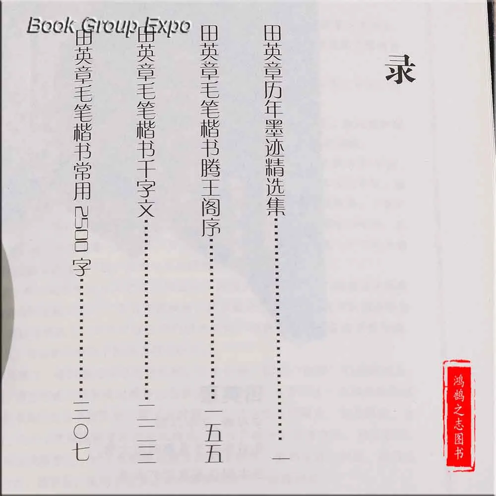 Китайская кисть каллиграфия Copyboo для каллиграфии Тянь Yingzhang работает 2500 обычных