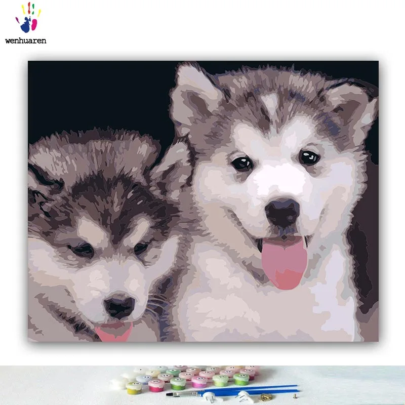 Раскраска по номерам сделай сам милые рисунки с двумя Хаски собачками домашними