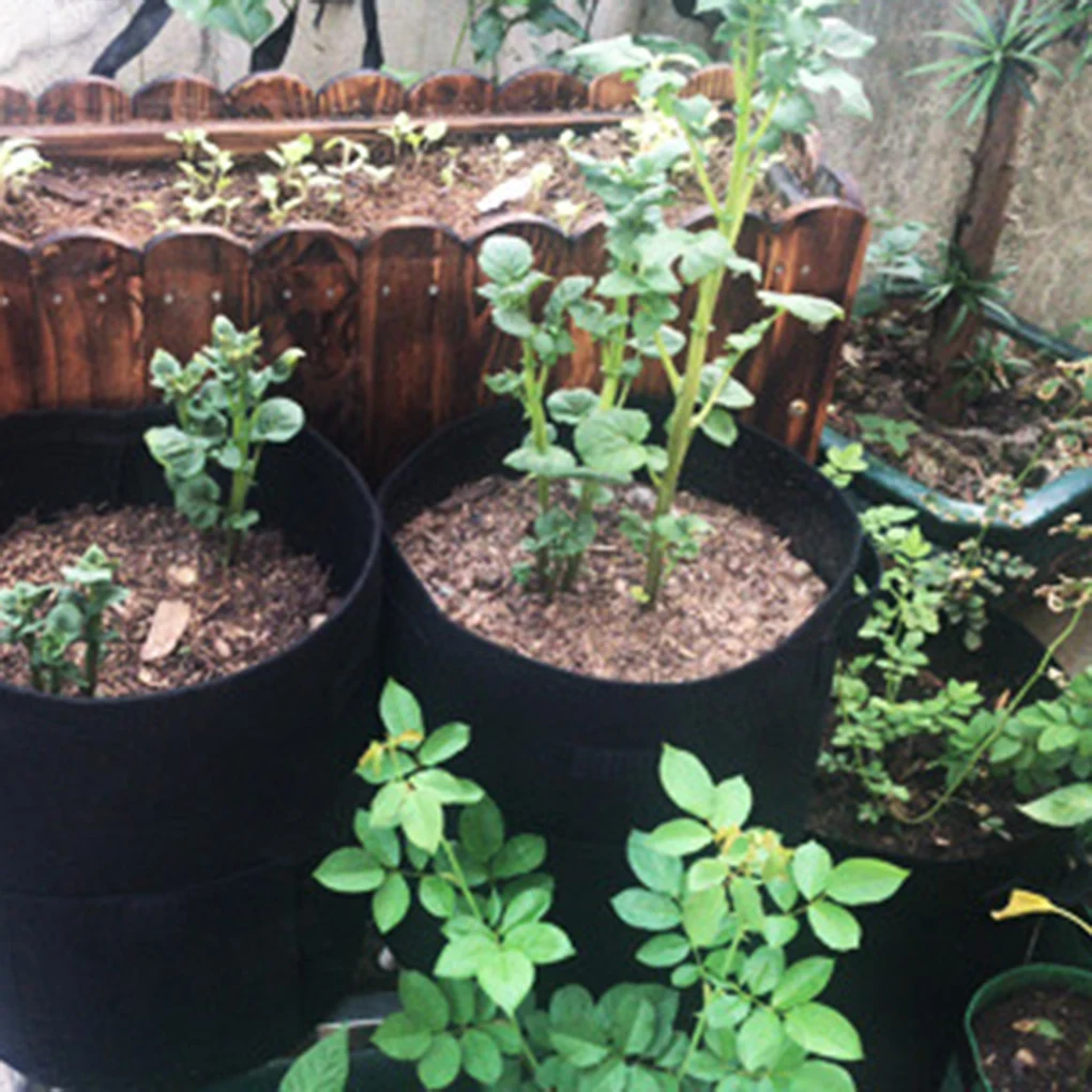 7 галлонов морковь выращивание картофеля сумка с ручками цветы горшок для