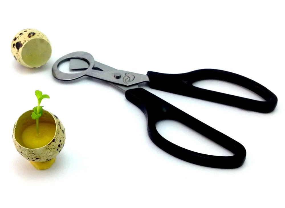 Перепелиное яйцо резак нож для голубиных яиц кухонные ножницы птица инструмент