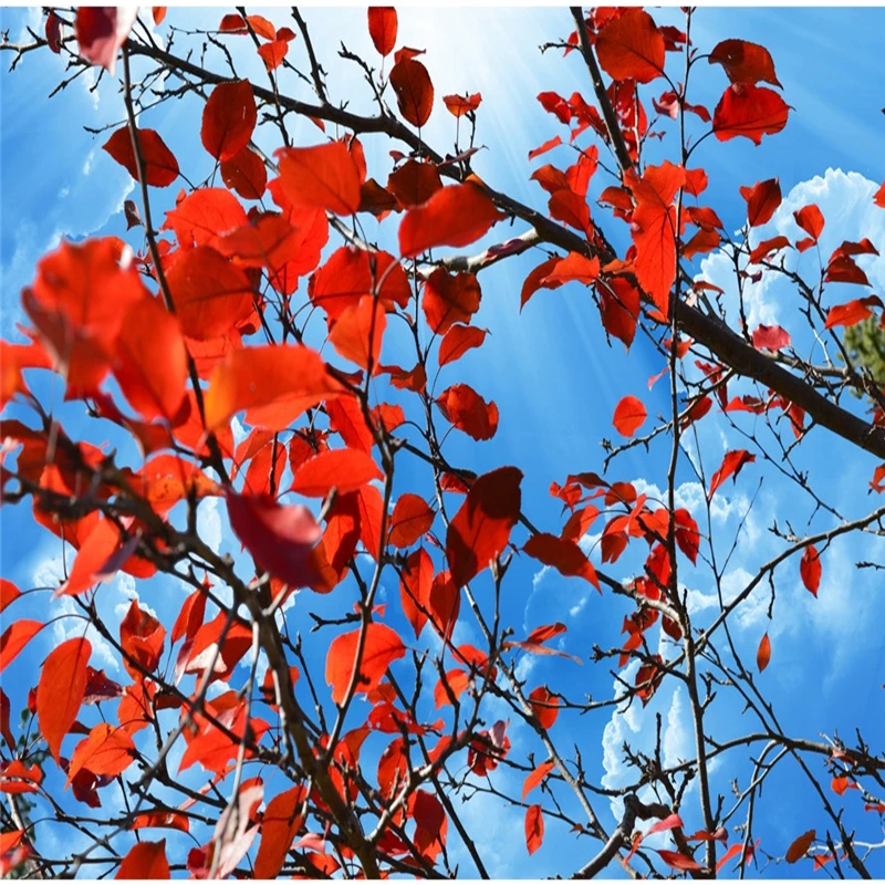 wellyu Custom large wallpaper 3d beautiful blue sky red leaves ceiling zenith fresco living room papel de parede | Обустройство дома