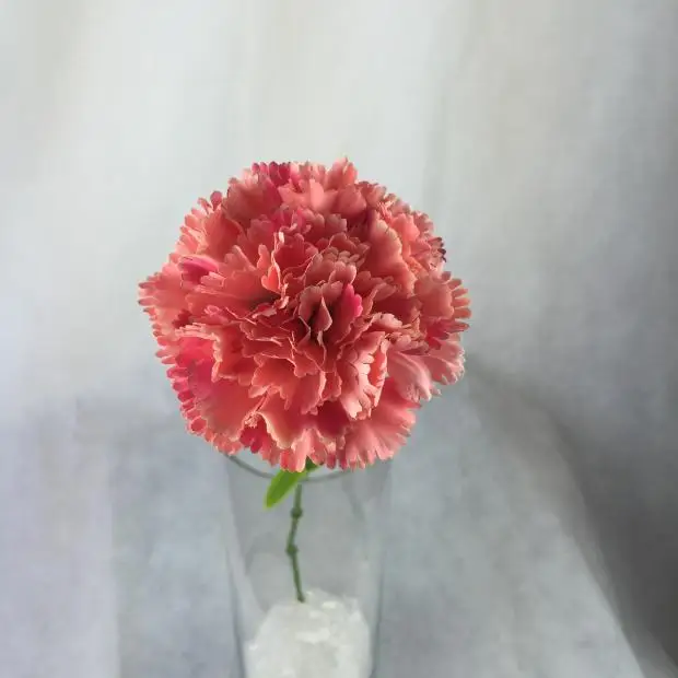 Букет с гвоздиками сухой цветок имитация декоративных цветочных украшений