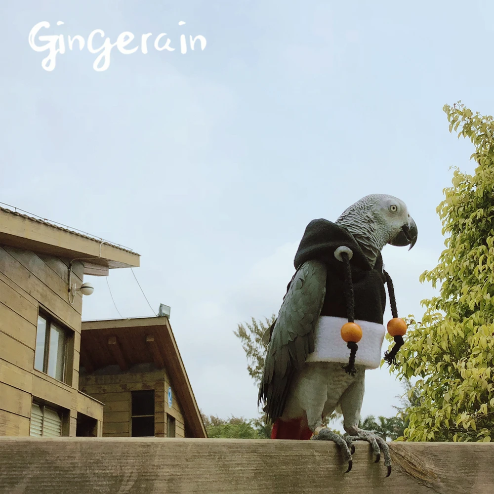 Gingerain одежда с птицами попугай мимолетное время оригинальная ручная работа на