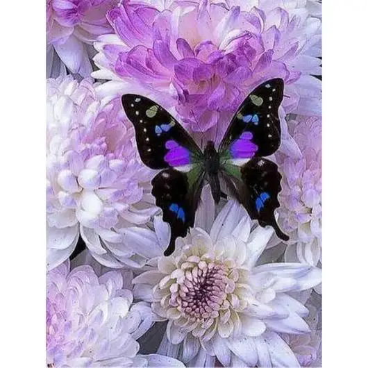 Цветок и бабочка | Дом сад