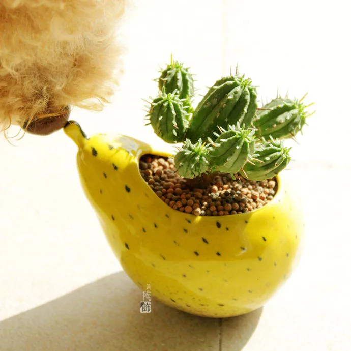 Горшок для суккулентов персонализированный горшок офисного дома балкона