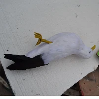 creative simulation seagull toy plastic feather dead simulaiton seagull bird model about 30cm 1483