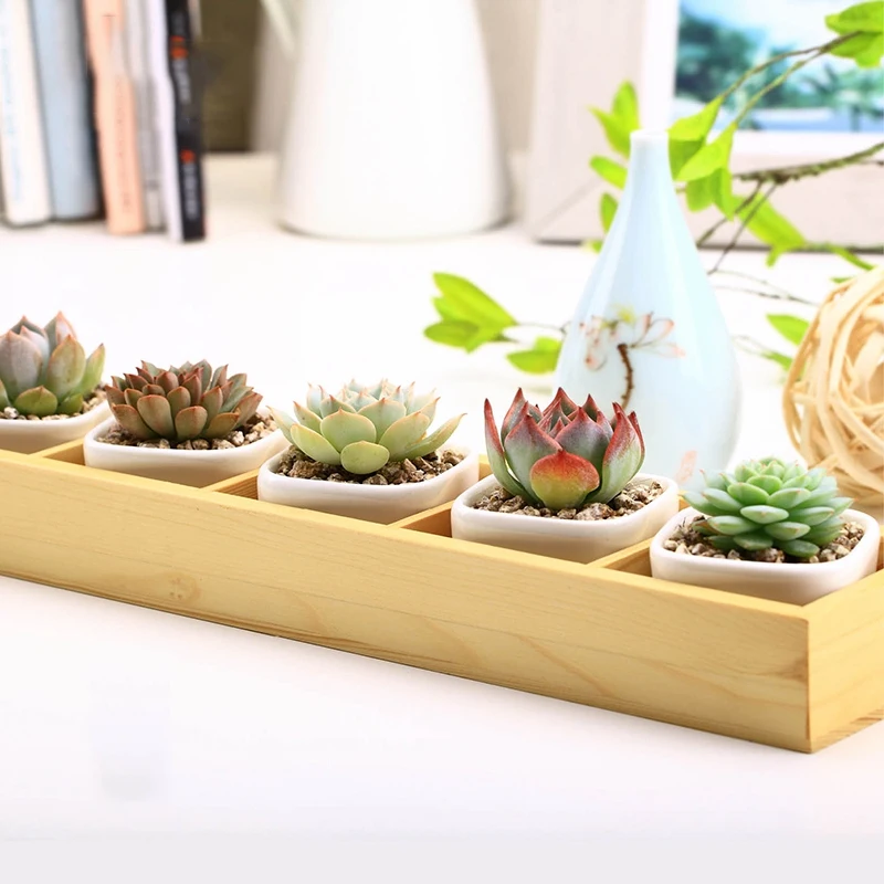 SHGO-1Set Of Modern Decorative Small White Square Ceramic Succulent Plant Pot 5 Flower Planters With 1 Wooden Tray Box Home | Дом и сад