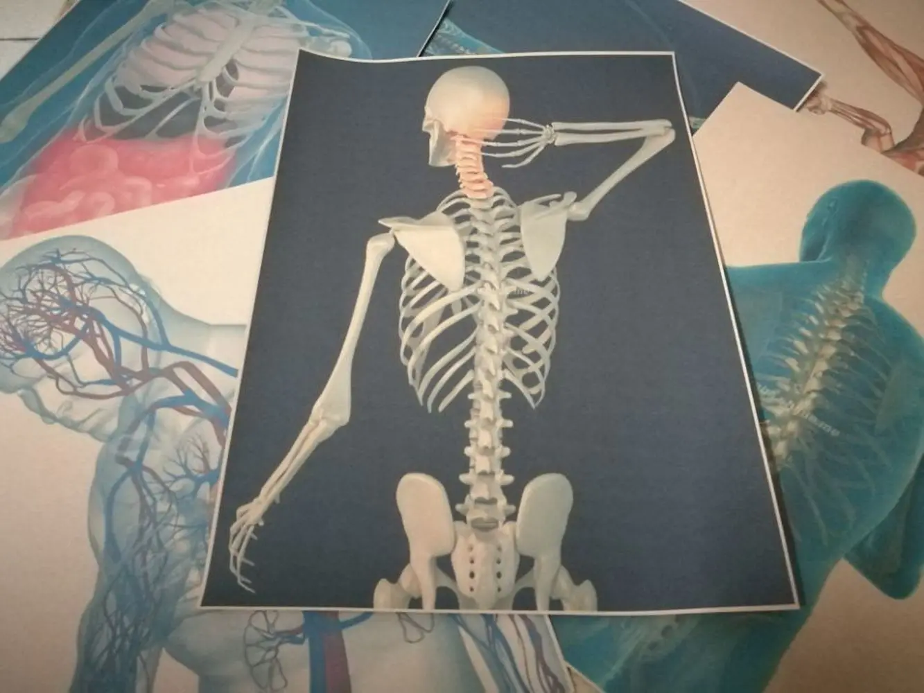 3D X-ray сканирование человека анатомия ретро Kraft бумажные плакаты Скелетное