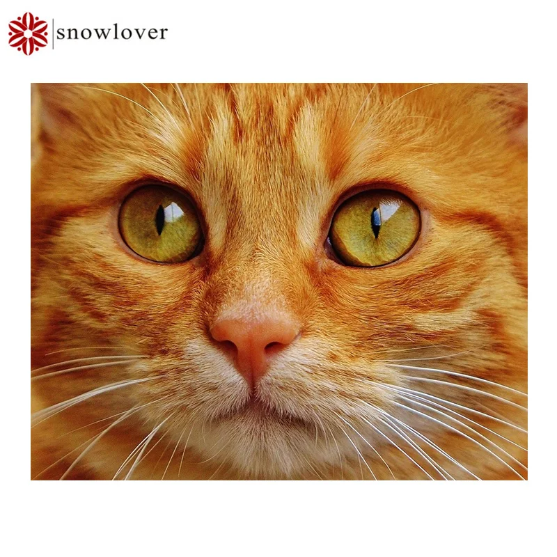 Snowlover 5D полный поделки алмаз Вышивка квадратный животных живопись вышивка