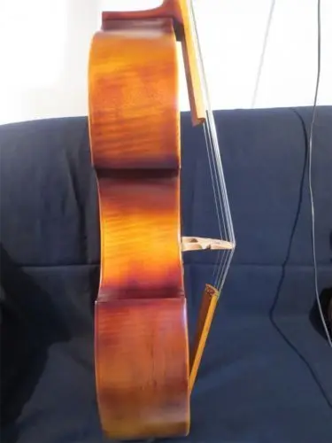 Песня в стиле барокко Maestro instate Frets 7 string 25 &quotviola da gamba|Скрипка| |