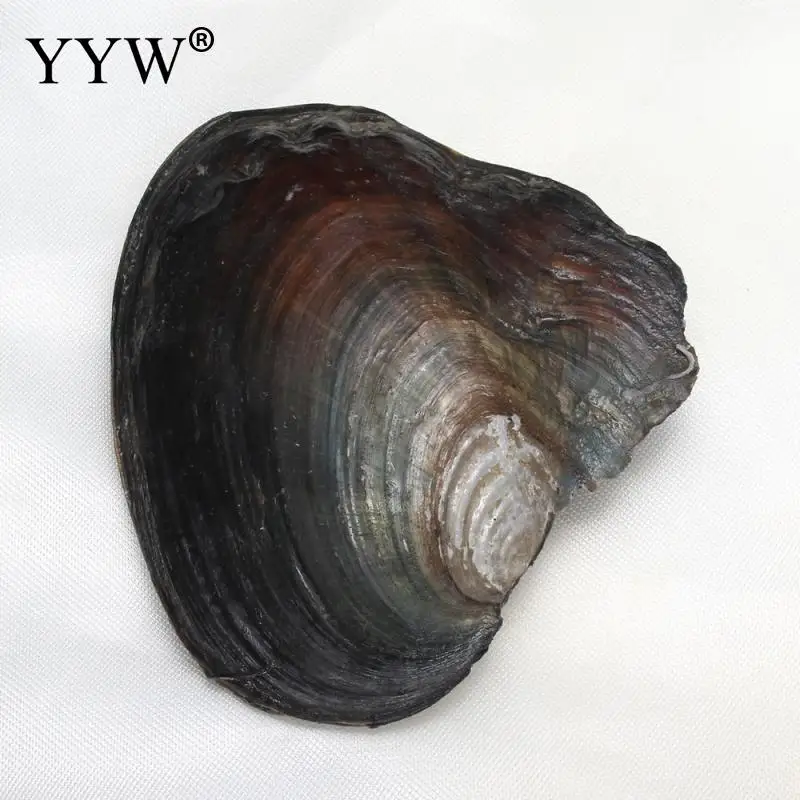 Пресноводная культивированная жемчужина Love Wish Oyster вакуумная упаковка риса 8 9 мм