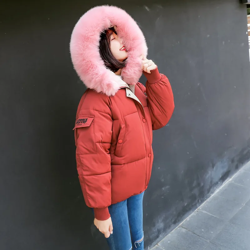 

Fund Polyester Long Zipper Slim Full Flocking Limited Coat Woman Korean 2018 New Joker Winter Clothes Cotton