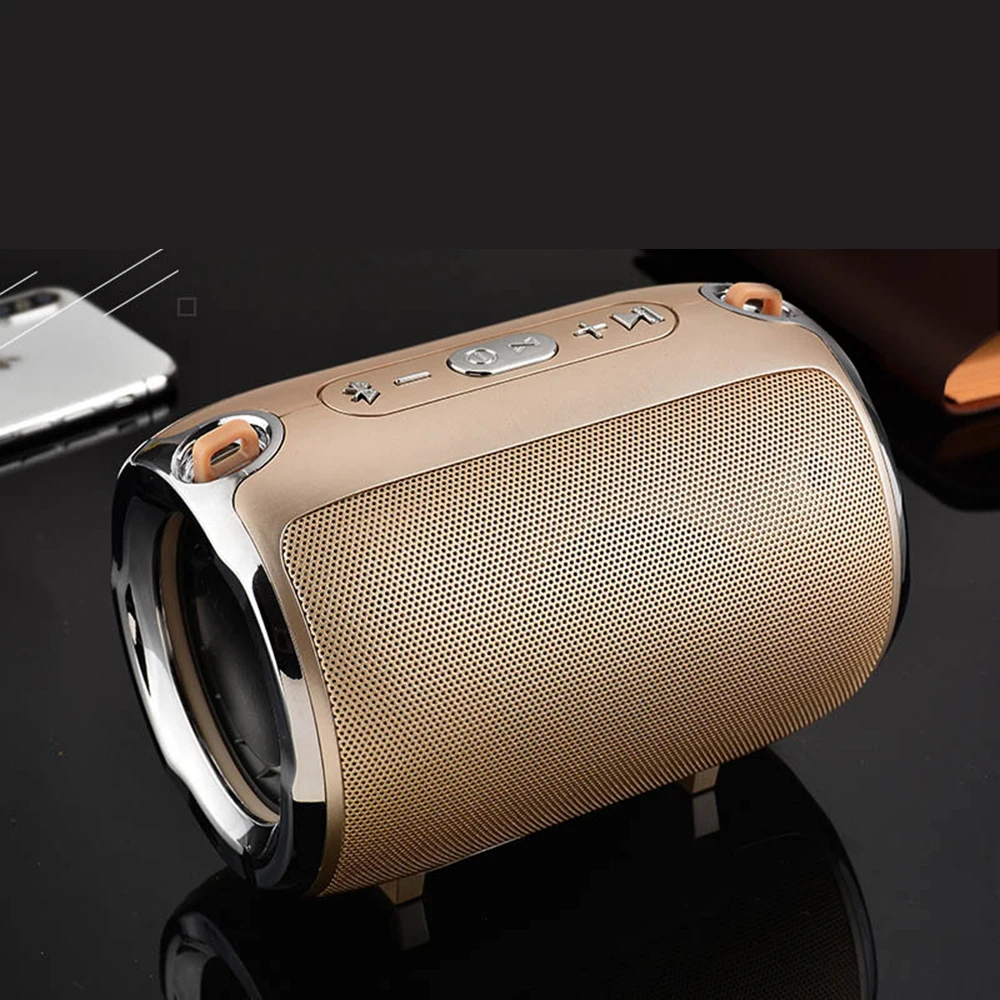 ZIENSTAR Bluetooth Speaker Wireless Portable Outdoor HIFI Column Subwoofer Sound Box with Shoulder Belt Support FM Radio TF Mp3 |