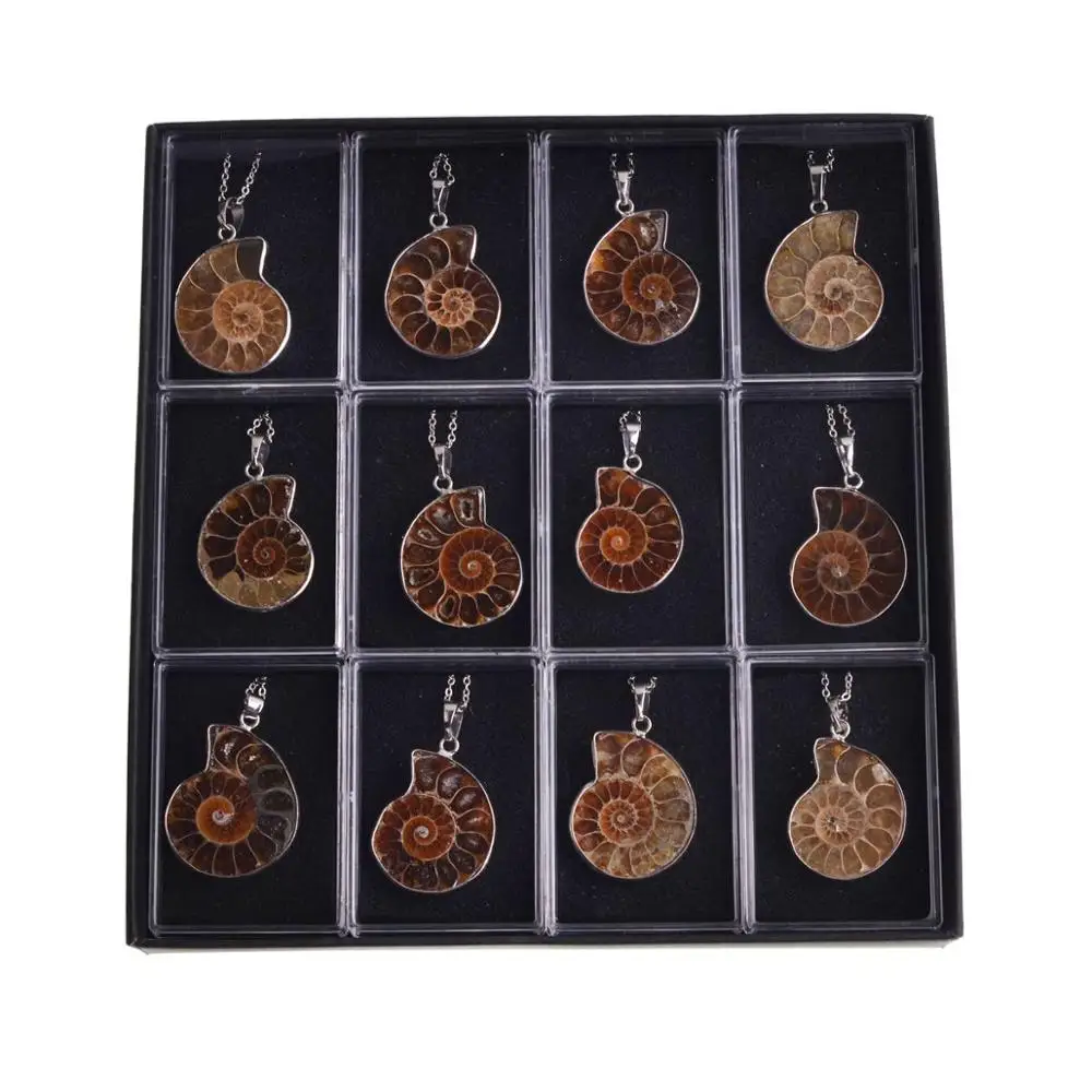 12PCS On Display Box ASHMITA натуральный камень аммонит в виде ракушки подвеска Улитка океан Reliquiae состояние для мужчин t ожерелья для мужчин ювелирные изделия - Окраска металла: 12PCS On Display Box