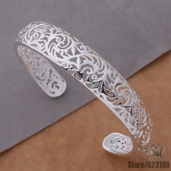 ab077silver