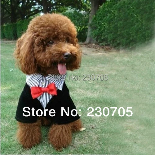 Официальный домашнее животное собака щенок одежда западный стиль костюм галстук