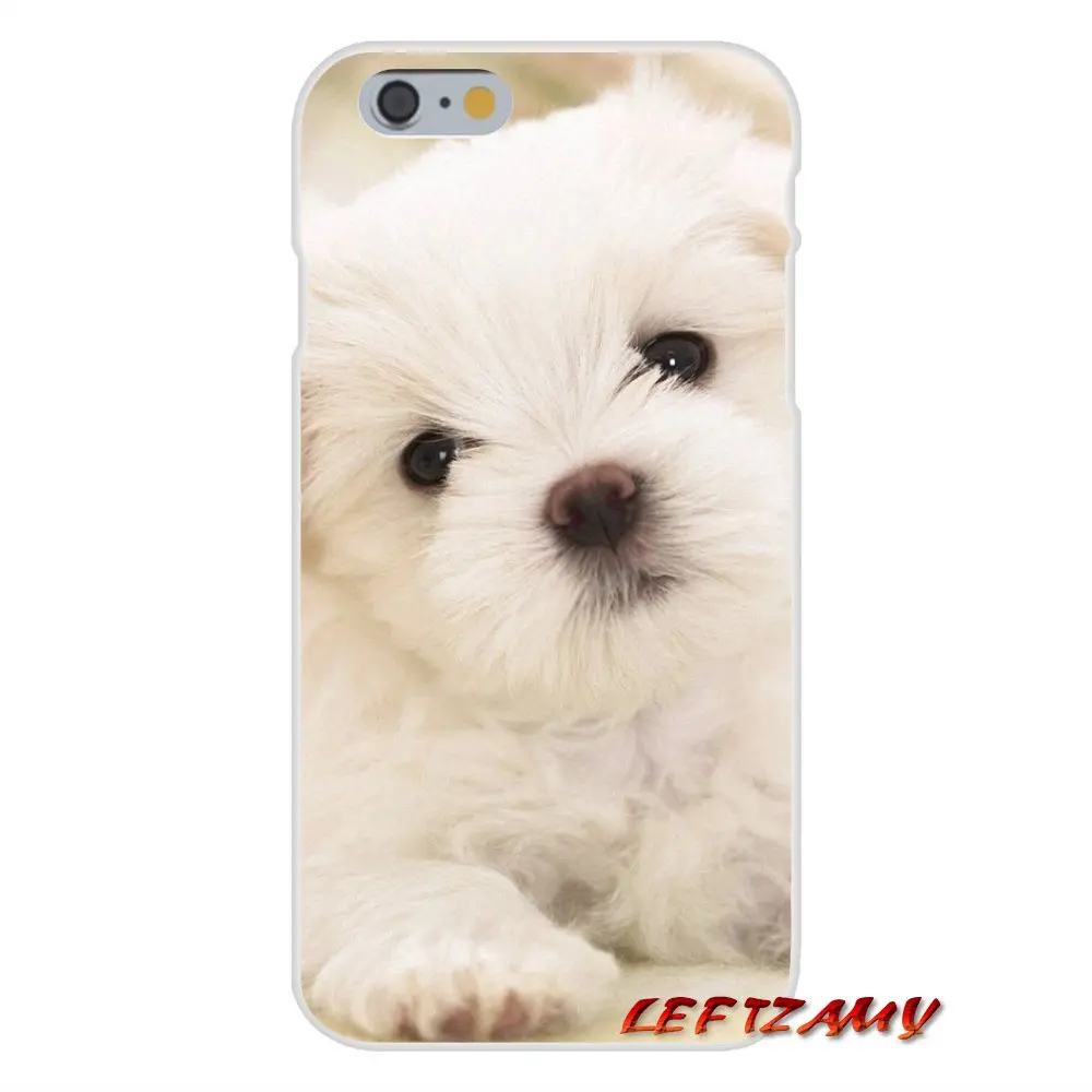 I Love My Maltese dog puppies аксессуары чехлы для телефонов Чехлы Huawei P Smart Plus Mate Honor 7A 7C 8C 8X 9 P10