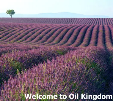 Эфирное масло французской лаванды 2 мл акне Индия восстанавливает шрамы помогает