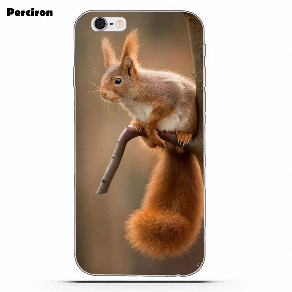 as picture Perciron Squirrel Soft TPU Print Cover Case For Xiaomi Redmi Note 2 3 3S 4 4A 4X 5 5A 6 6A Pro Plus - Цвет: as picture