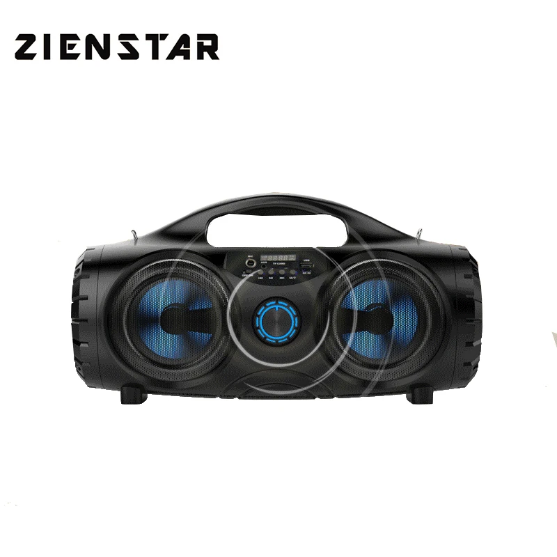 Беспроводная Bluetooth Колонка ZIENSTAR 10 Вт с ручкой и FM радио|Сабвуферы| |