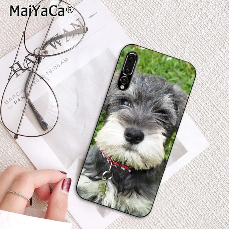 MaiYaCa милые собаки Шнауцер крашеный чехол для телефона для huawei P20Lite P30Pro P Smart Y5 Y6 Honor8A 8C 10i Nova3 Mate20Lite View10 - Цвет: A6