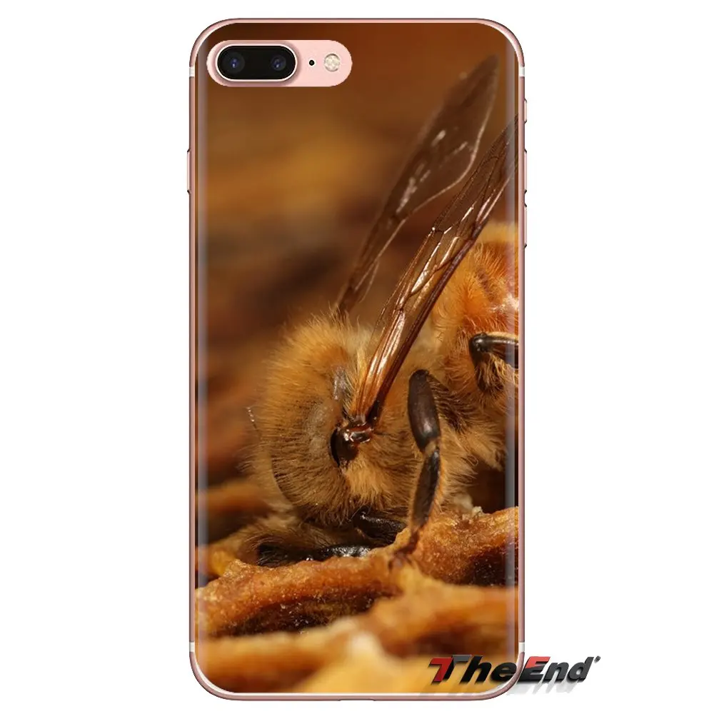 For Samsung Galaxy A3 A5 A7 A9 A8 Star A6 Plus 2018 2015 2016 2017 Macro Honey Transparent Soft Cases Covers |