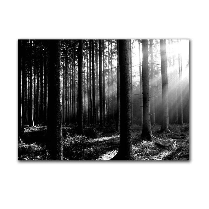 

Forest Print Wall Canvas Painting Art Landscape on Canvas Poster Unframe Black and White Wall Art Decoration for Living Room