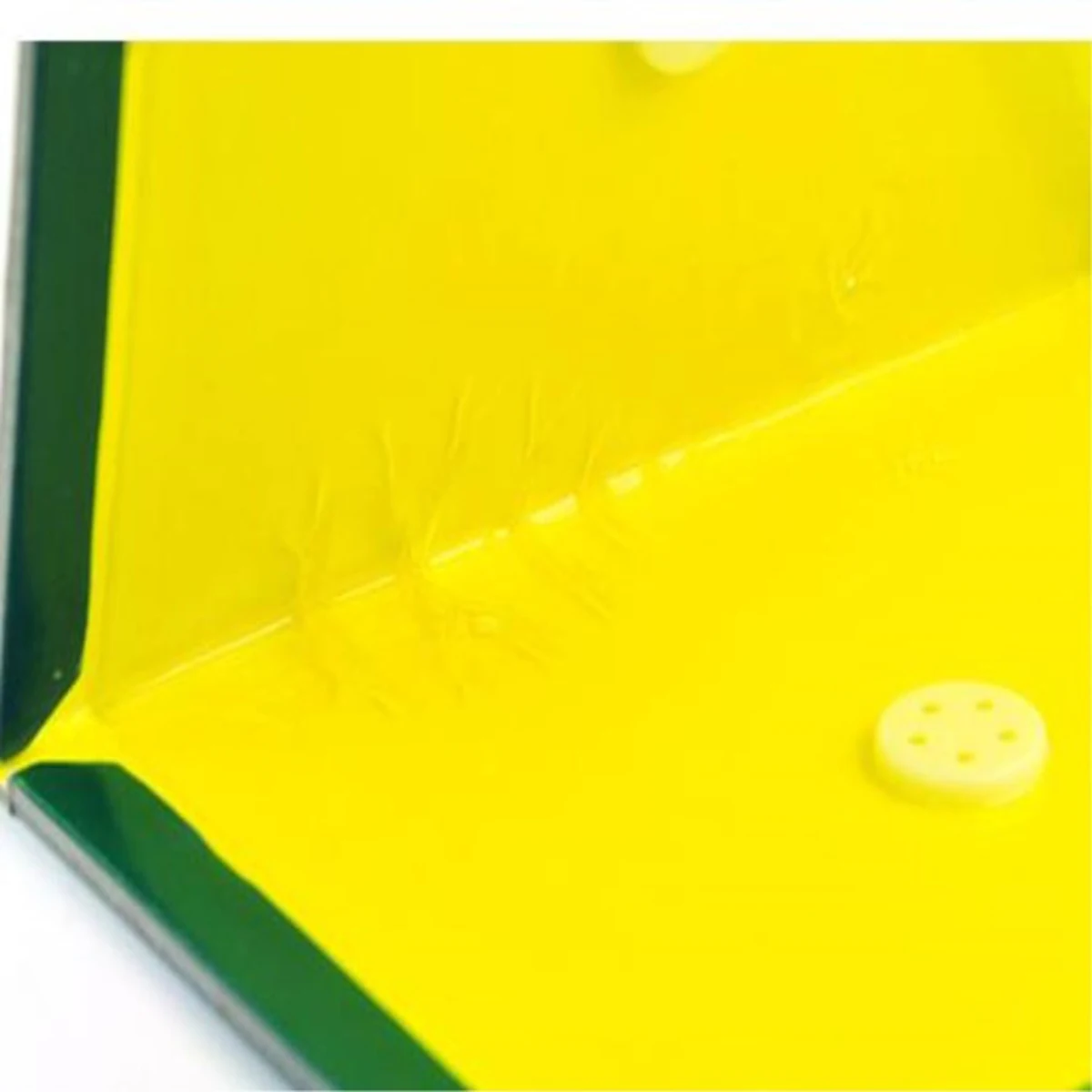 

1PCS Mouse Board Sticky Rat Glue Trap Mouse Rat Snake Bugs Mice Catcher Traps Non-toxic Eco-Friendly Pest Control Reject