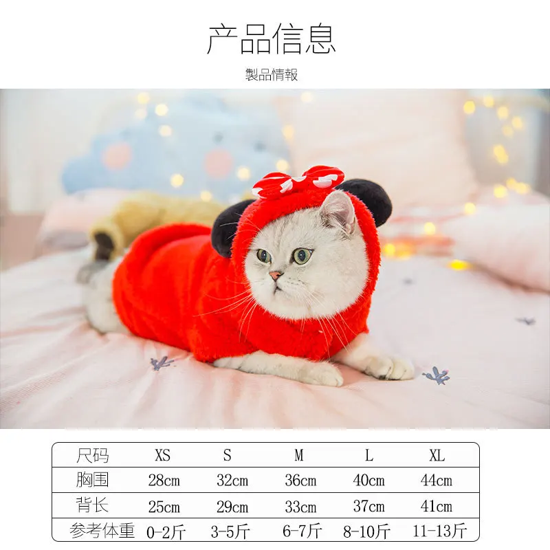 Котята милые домашние животные переодевания короткие голая кошка синий Кот