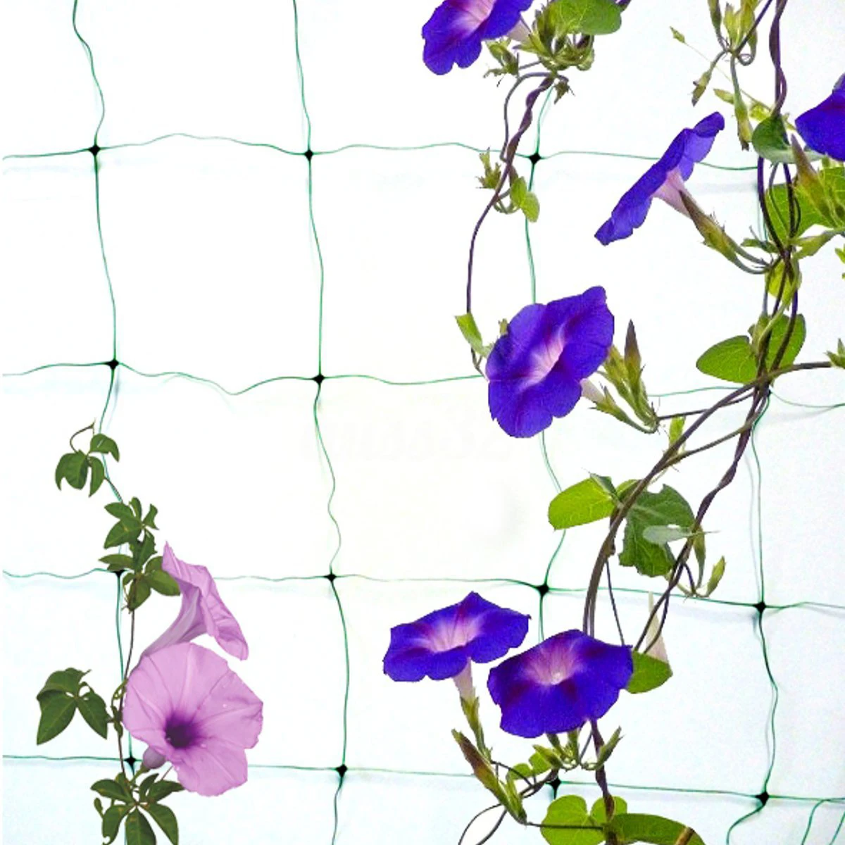 Hot Sale Garden Green Nylon Trellis Netting Support Climbing Plant Nets Grow Fence | Дом и сад