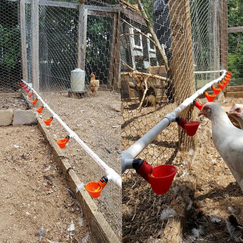 

500 Pcs Poultry Water Drinking Cups cages Automatic Quail Chicken Drinking Plastic Chicken Fowl Drinker Cups Breeding Equip