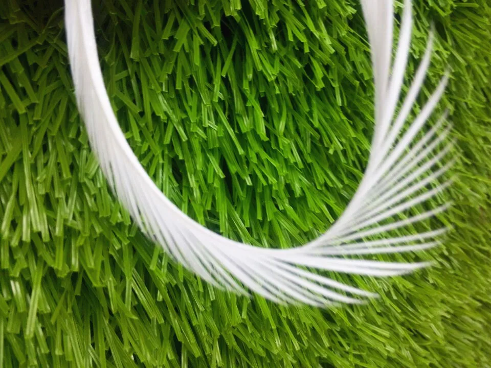 Выбирайте из реальных фотографий! 10 шт./лот красивые ремесла перо рваные края 6 8