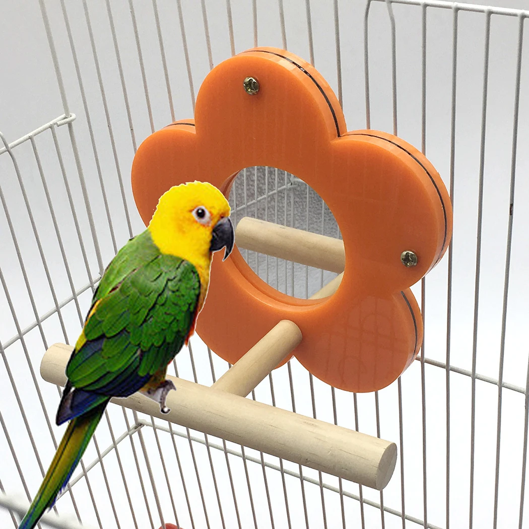 Попугай ПЭТ из натурального дерева Висячие стойки игрушка Parakeet ветка perches для клетки птицы с цветком зеркало дропшиппинг