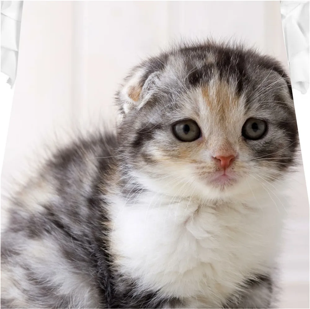 Детская одежда детское белое платье костюм для девочек модное с серой кошкой
