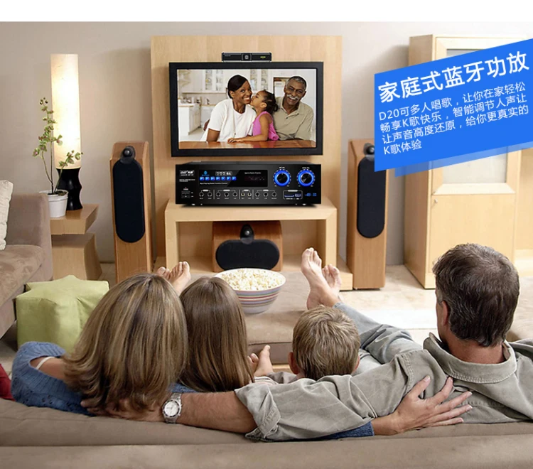 

220V D20 professional KTV amplifier hifi power amplifier high power 100W * 2 home karaoke OK