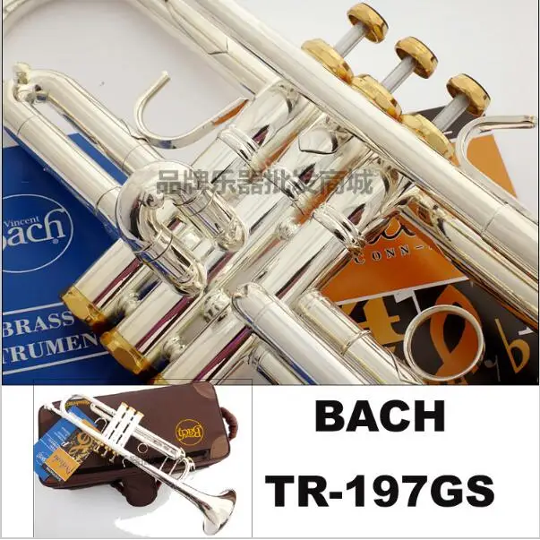 Труба Баха TR-197GS Plate Серебряная труба корпус позолоченный ключ резной Drop bB