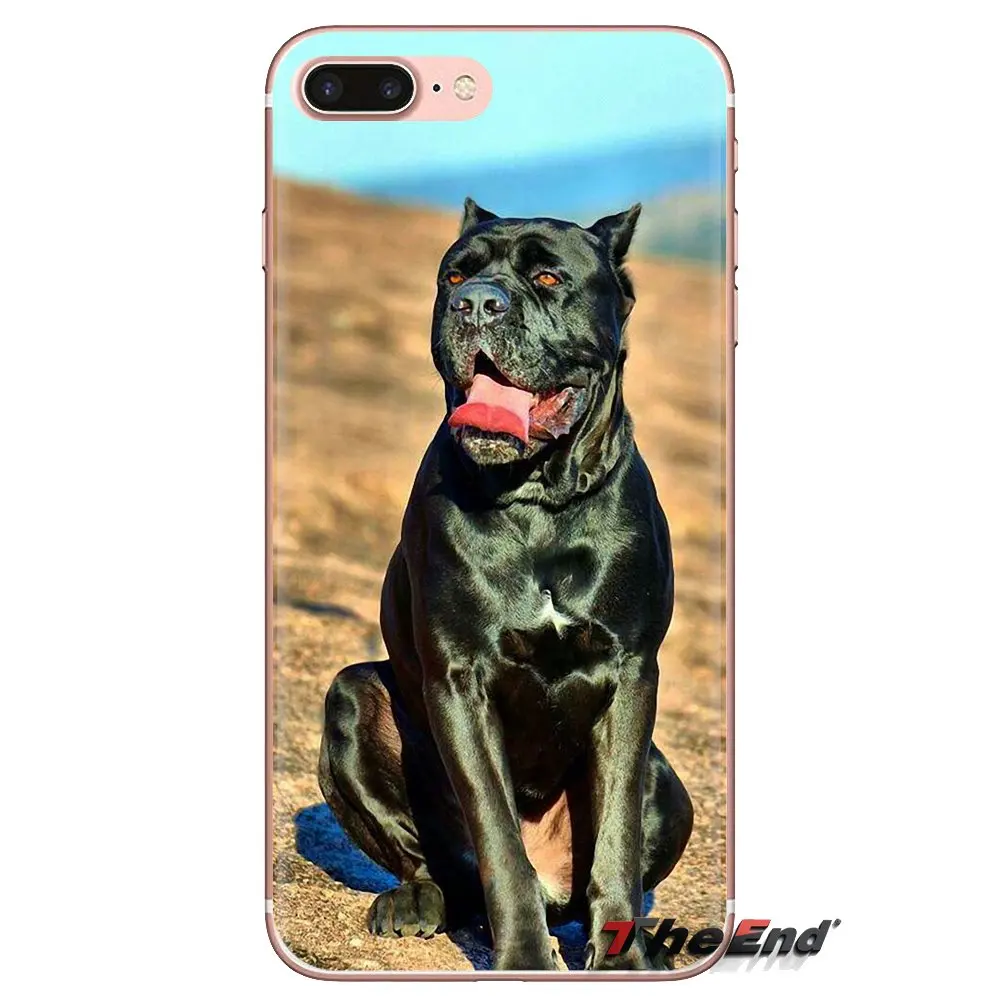 Прозрачный чехол из ТПУ для iPod Touch Apple iPhone 4 4S 5 5S SE 5C 6 6S 7 8 X XR XS Plus MAX итальянские