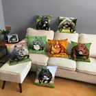 Диванная наволочка 45*45 см с изображением американской бульли и собаки