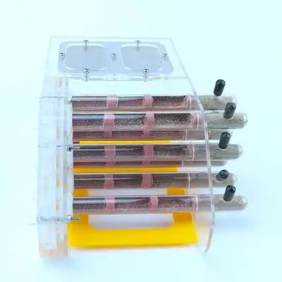 Bamboo knot version AntHouse акриловый песок стартовый набор для хранения муравьев депо formicarium - Цвет: Bamboo knot version