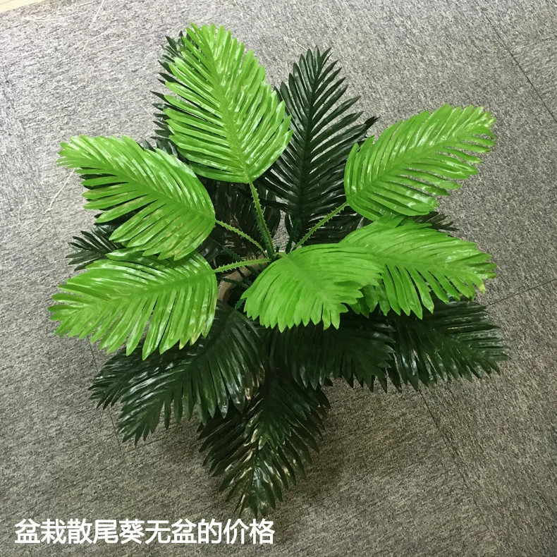 Sesamum auriculatum моделирование завод украшения Моделирование Зеленый фоне стены