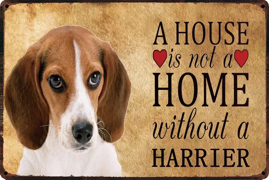

[ Kelly66 ] Dogs Home Without The Harrier Metal Sign Tin Poster Home Decor Bar Wall Art Painting 20*30 CM Size y-2142