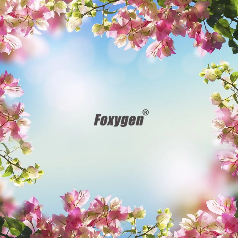 Материалы для украшения ресторана цифровая печать и УФ дизайн с голубым небом