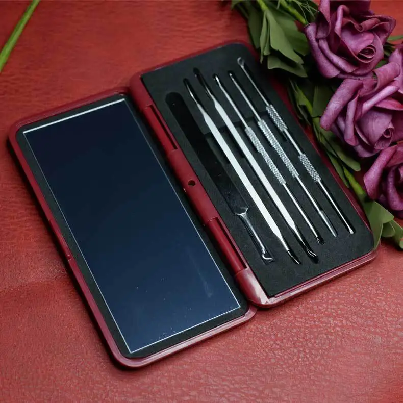 

Acupuncture Needle Set for Blackhead Picking Acne Beauty Acne Removal Needle Cell Clamping and Extruding Acne Tool
