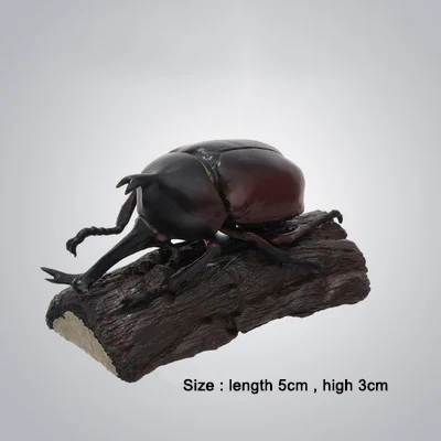 rhinoceros beetle 11 шт., насекомые, японский носорог, жук, олень, жук, карманный червь, модель животного, фигурка, Детские коллекционные игрушки - Цвет: rhinoceros beetle