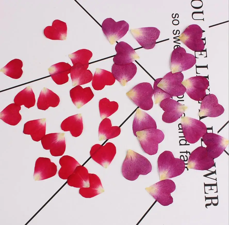 

100pcs Pressed Dried Flower Rose petal Filler For Epoxy Resin Jewelry Making Postcard Frame Phone Case Craft DIY