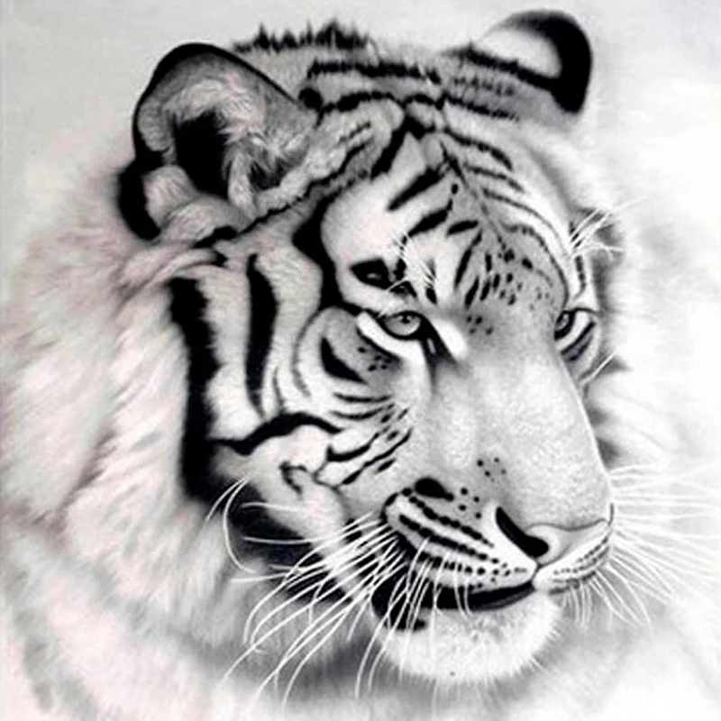

5D DIY Diamond Painting Tiger Cross Stitch Full Drill Resin diamond embroidery Flores Wall Stickers Mosaic Diamond Home Decor