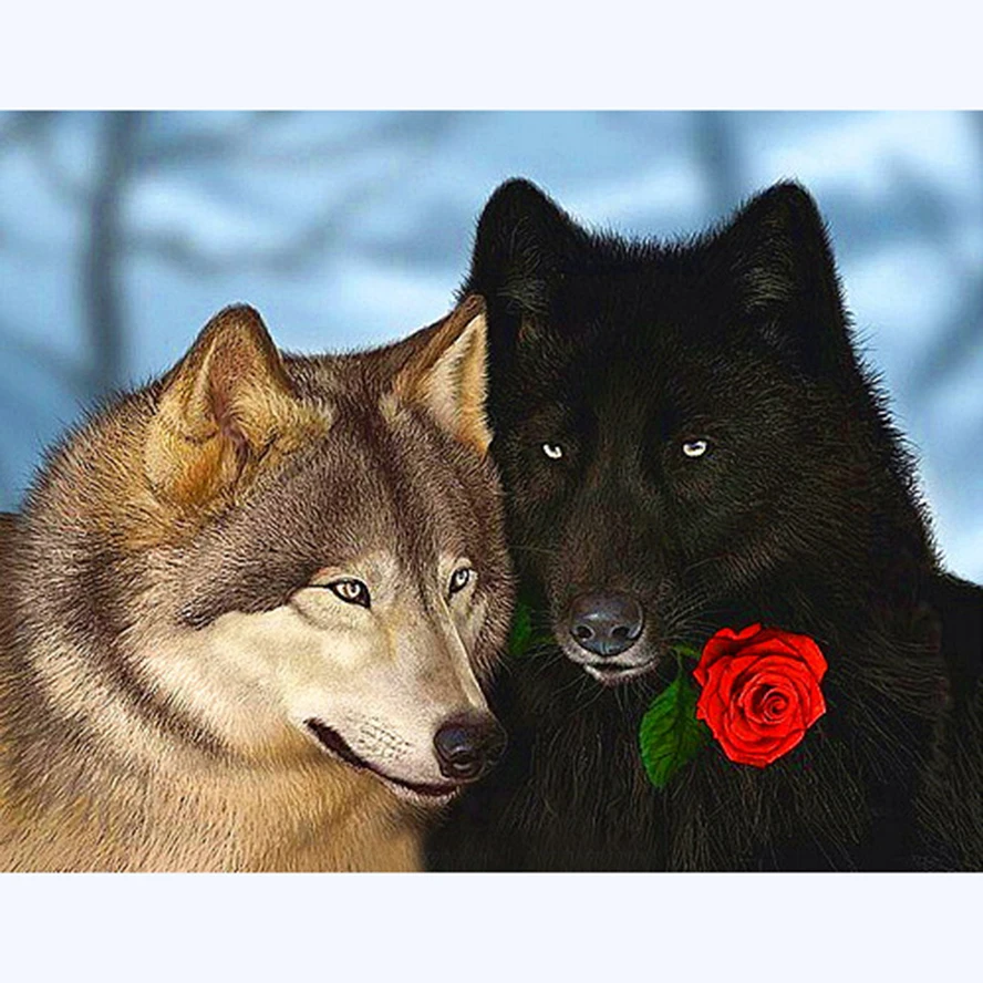 Алмазная 5D Вышивка сделай сам картина с волком влюбленным и розой полноразмерная