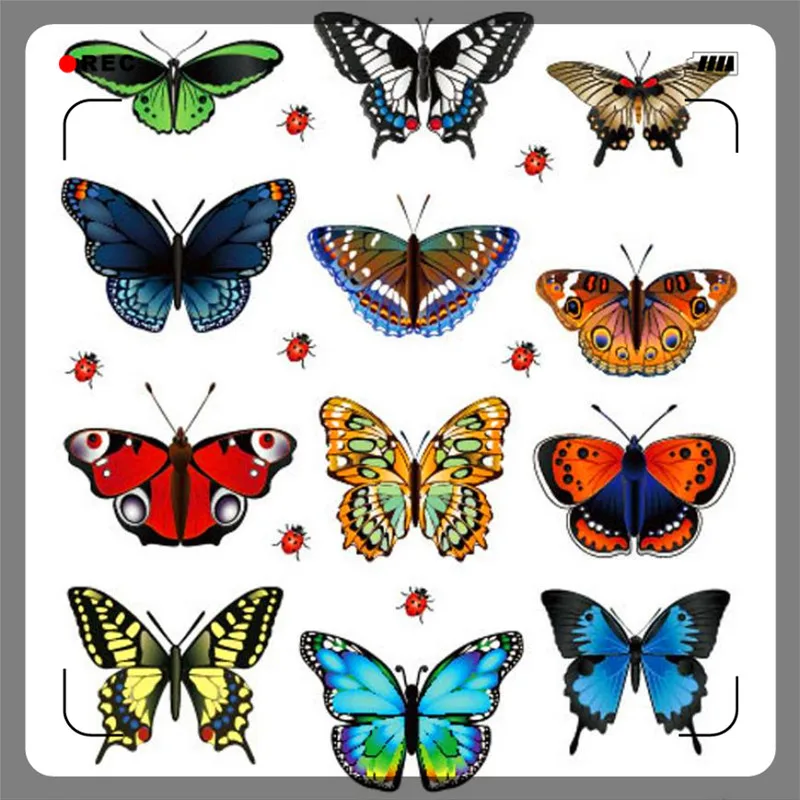 New Landscaping Decoration Heart Shaped Stickers 12 Butterfly home decor butterfly decoration | Дом и сад