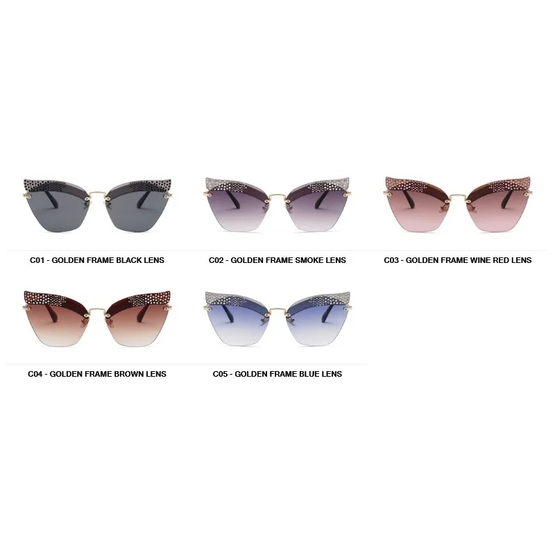 

Eyewear & Accessories